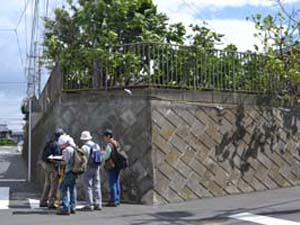 大磯警察署南側で中村原面と前川面（道路面）の比高を測定する