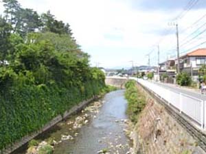 大磯プリンスホテル北側の砂丘（左手）と葛川低地の間に流れる葛川