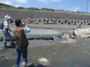 大磯海岸で隆起波食台の海水面からの高さを測定