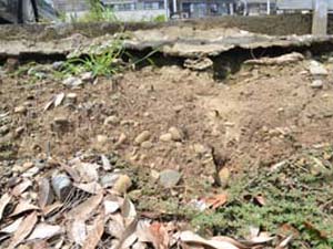 前川面を構成する海浜の砂礫層