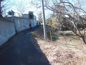 中村原面を削る旧河道の低地(右手)