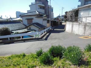 中丸の国道沿いの中村原面と低位の前川面の段丘
