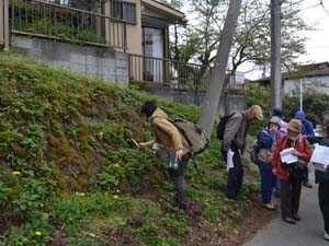 飼育員の説明を聞く