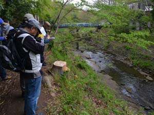 硫化水素ガスだけで生きているサツマハオリムシ