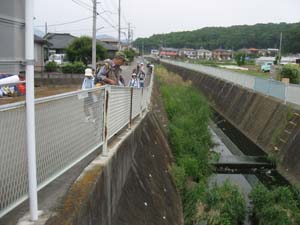 現在の葛川は川幅が狭い