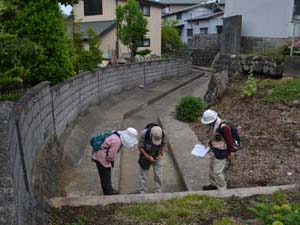県道秦野二宮線の旧道と交わる付近で暗渠となる逆川を観察する