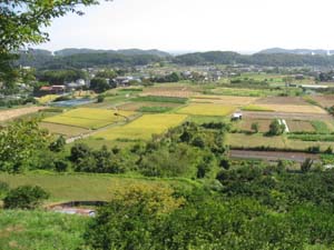 伊勢原断層の段丘地形と日向扇状地に広がる田園風景