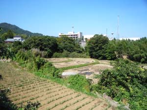 伊勢原浄水場の中位段丘面とそれより低位の日向川右岸の段丘面
