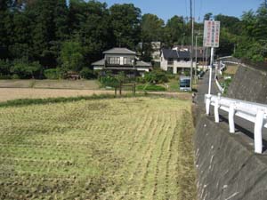日向川の低位段丘面望む