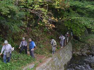 鈴川の中位段丘を作る段丘礫層の露頭を観察する　（上粕屋明神）