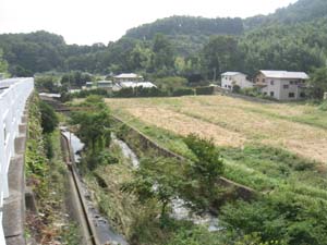 道路（低位段丘面）から鈴川と沖積面を望む。低位段丘面と沖積面の比高は約5～6 mであった