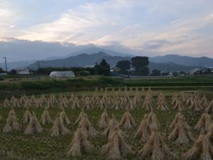 上粕谷扇状地（扇端部）と日向扇状地の合流部の地形（西富岡　総合運動公園入口）