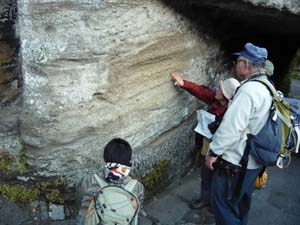 軽石質凝灰岩を挟む池子層の露頭を観察する。（海蔵寺 山門脇）