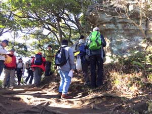 浦郷層の露頭を観察する(天園ハイキングコース）