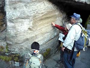 軽石質凝灰岩を挟む池子層の露頭を観察する。(海蔵寺 山門脇）