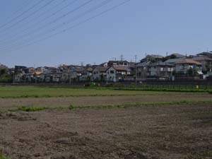 休耕期の水田と住宅の並ぶ中津原面の段丘崖を望む（海老名市上今泉 今泉小学校の東側）