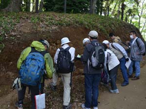 伊勢山自然公園東端の切り通しで新期ローム層を観察する（海老名市国分南2丁目）