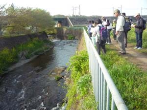 目久尻川河床に見られた露頭も多摩ローム層と思われる（海老名市国分南2丁目 JR相模線交差南）