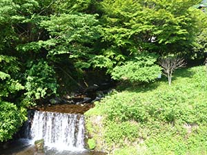 道路脇から鈴川上流である大山川を望む（伊勢原市大山　猪股橋）