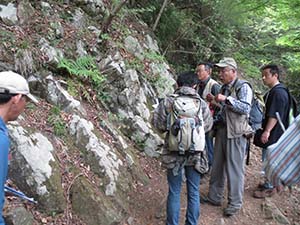 火山礫混りの玄武岩質凝灰岩からなる大山亜層群の凝灰岩を観察する（伊勢原市大山　下社下）