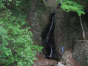 大山川の源流に近い二重の滝と粗粒凝灰岩の露頭を観察する（伊勢原市大山 二重社）