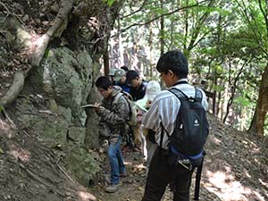 大山亜層群の粗粒凝灰岩の露頭を観察する（伊勢原市大山 かごや道-蓑毛越え分岐部）