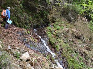 岩盤の隙間から湧く金目川の源流を観察する（伊勢原市大山西の峠北北西）