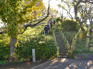 5世紀に築かれた帆立貝式前方後円墳である野毛大塚古墳の頂部に登る（世田谷区野毛）。