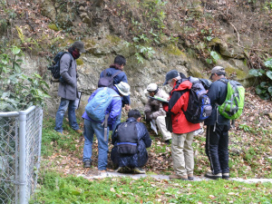 小坪階段口の上の広場で逗子層の露頭を観察する。軽石や細粒火山ガラスからなる凝灰岩層が挟在していた(逗子市小坪)。