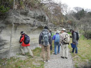 石切場跡とされるお猿畠の大切岸に露出する鷹取山火砕岩部層を観察する(逗子市久木)。