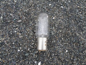 漁船の電球