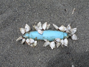 浮きその１