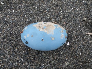 浮きその４
