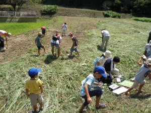 休耕田で探す参加者