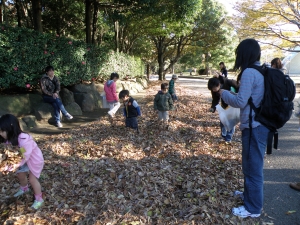 昆虫を探す参加者
