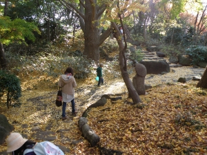 飛ぶ虫を眺める
