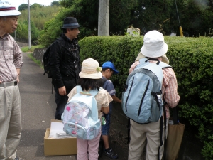 生け垣でクモ発見