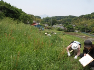 クモを探す参加者