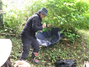 葉っぱの上に居るクモの採り方