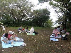 湘南平でお弁当