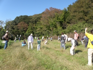 琵琶青少年の家の横の草はらで虫を探す。