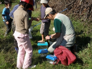 採った虫は先生のところに集めます