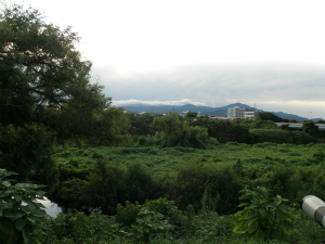 ねぐら遠景