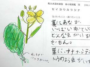 塗り絵図鑑の作品１