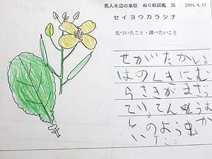 塗り絵図鑑の作品２