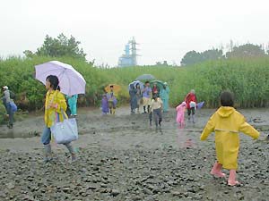 雨の中の観察