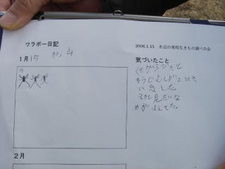 クモ3匹の記録とコメント（くもが３びきとわらじむしが２ひきいました。もやし見たいなのがはえてた。）