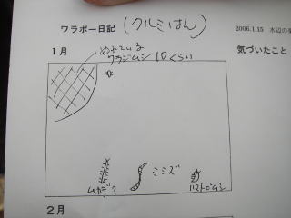 ワラジムシ10匹、ムカデ、ミミズ、ハマトビムシの記録