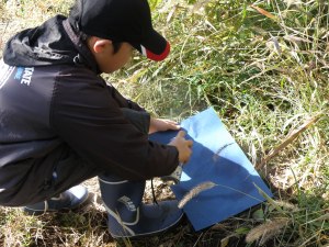 （５）表面を透明ラッカーでコートする