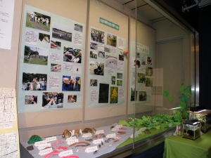 生きもの調べの会の展示